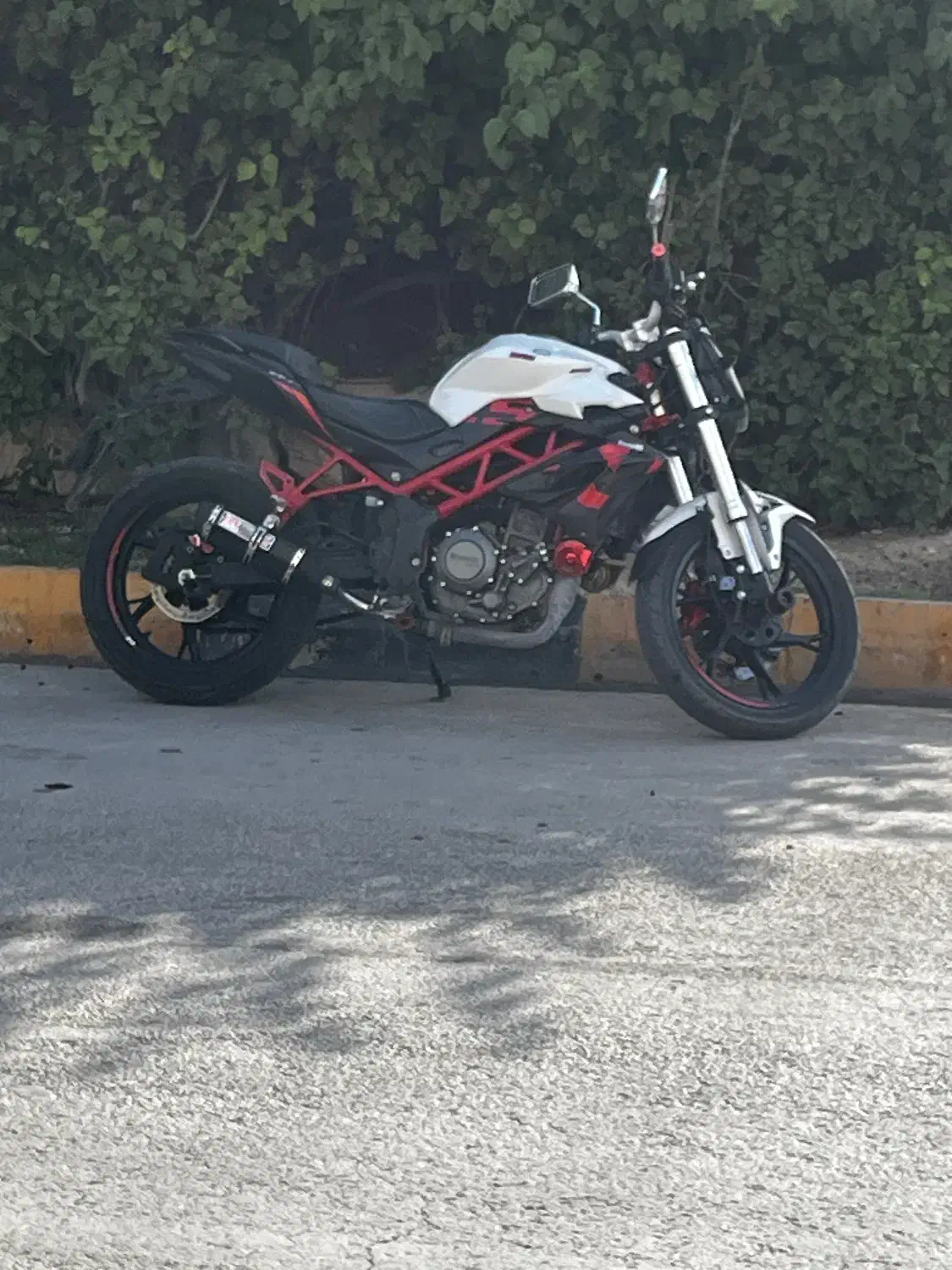 فروش بنلی ۲۵۰ تک|موتورسیکلت|بوشهر, |دیوار