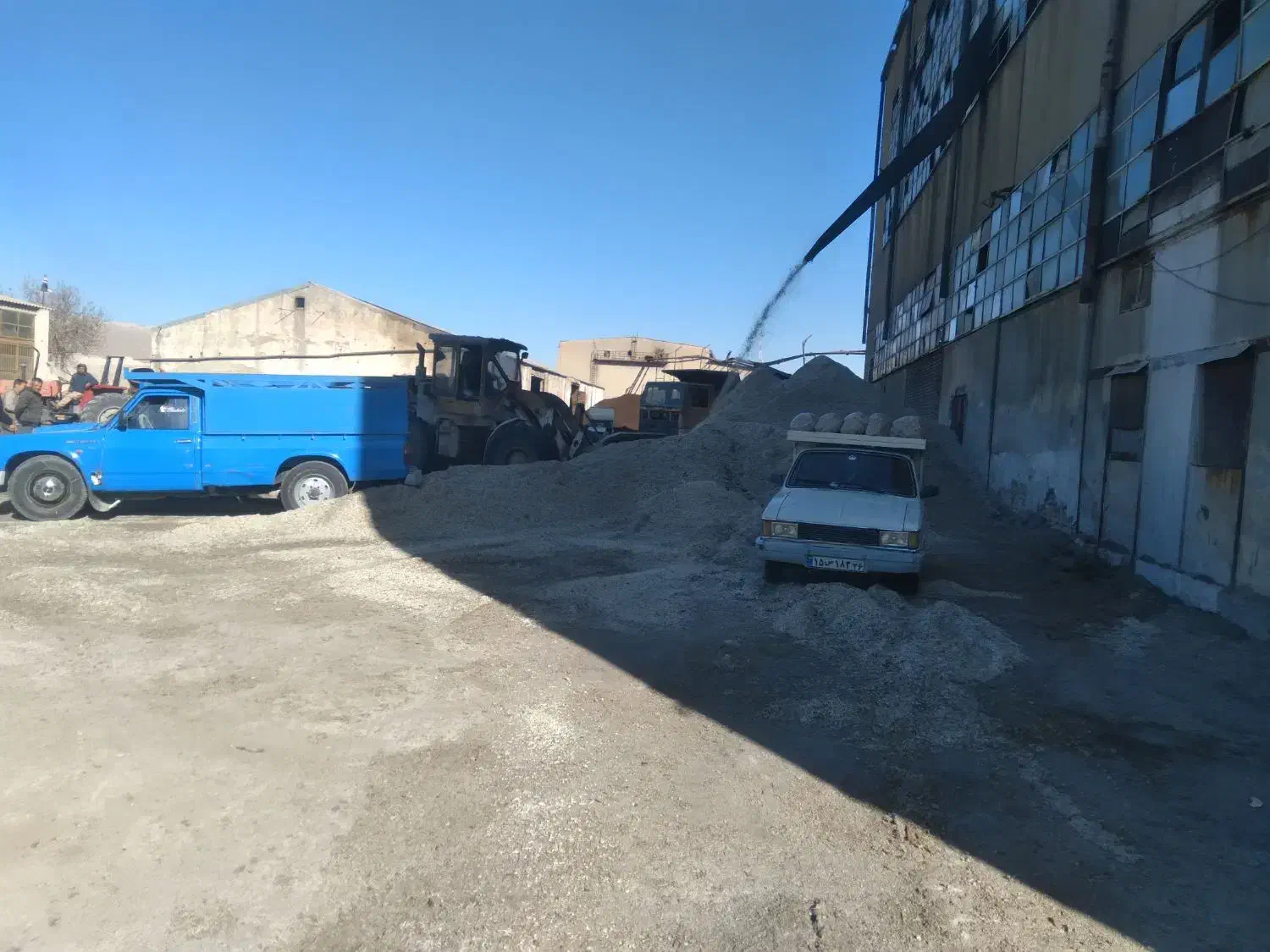 تفاله چغندر دونم تحویل در دامداری|حیوانات مزرعه|آشخانه, |دیوار