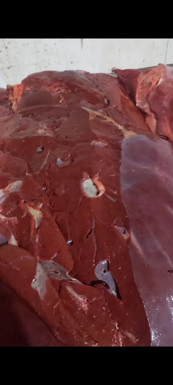 جگر گوساله|خوردنی و آشامیدنی|کرج, مصباح|دیوار