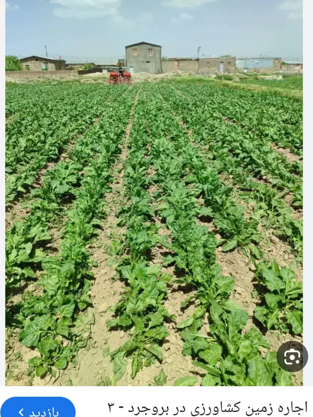 اجاره زمین کشاورزی بروجرد درود|اجارهٔ دفتر صنعتی، کشاورزی، تجاری|سیلاخور, |دیوار