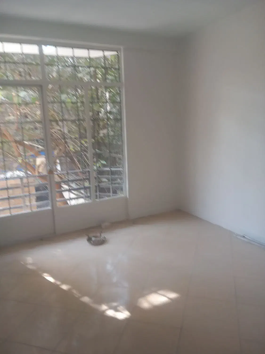 آپادانا  مستغلات۳۰۰متربنادر۳طبقه یکجا اجاره شرکت|اجارهٔ خانه و ویلا|تهران, نیلوفر|دیوار