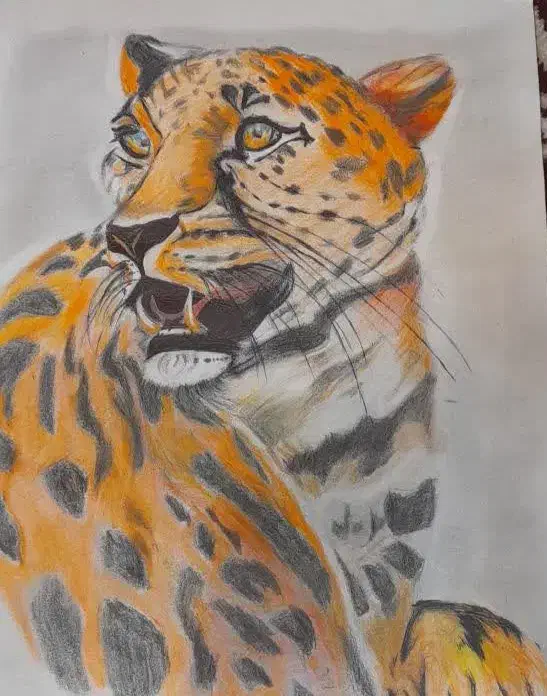 اجتماعی|حراج|قم, زنبیل آباد|دیوار