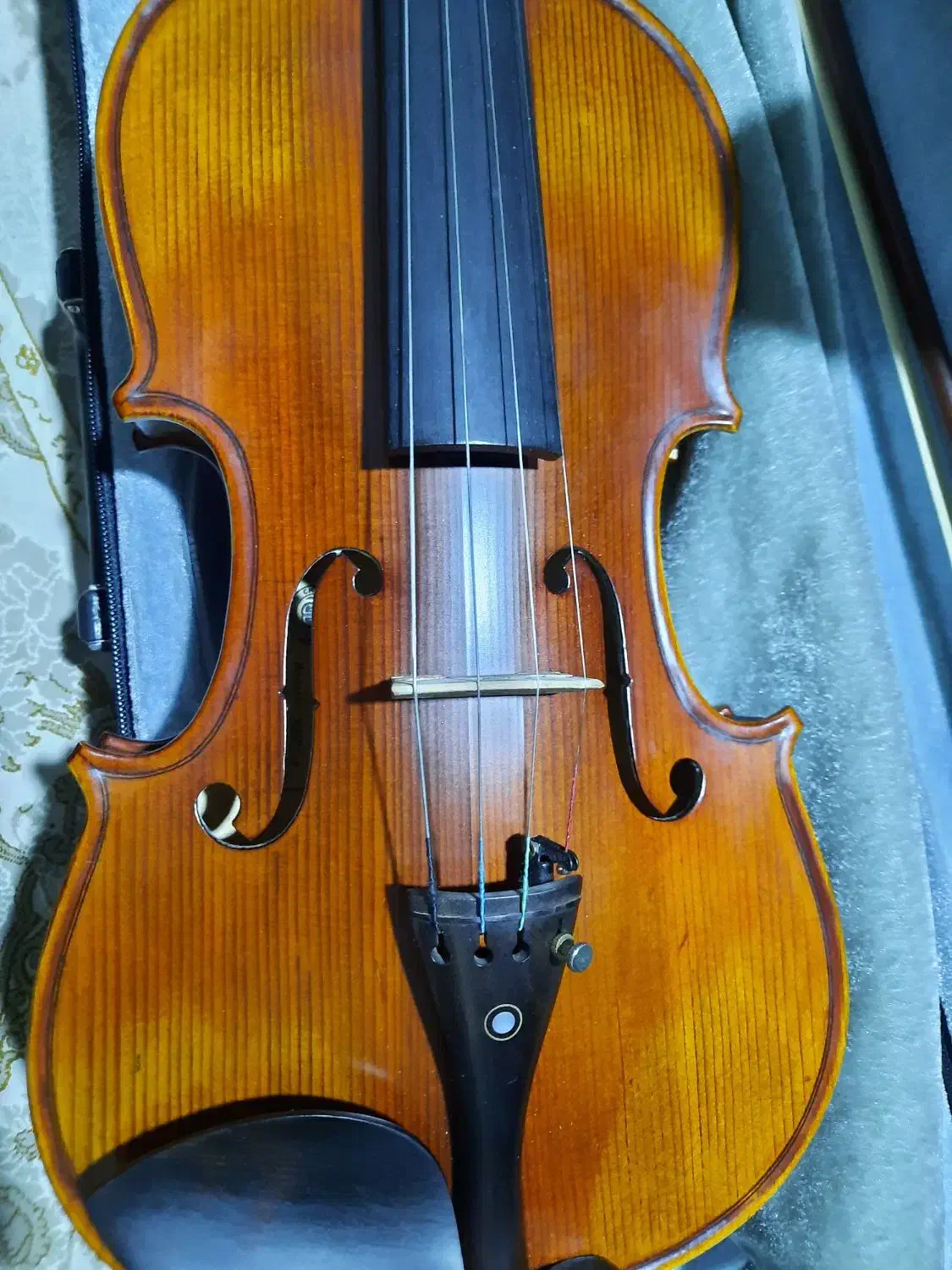 ویولون سالم|ویولن|اراک, |دیوار