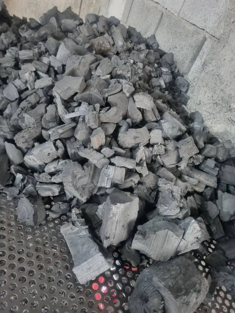 گروه بزرگ تولیدی کبابی خودسوز|عمدهفروشی|قزوین, |دیوار