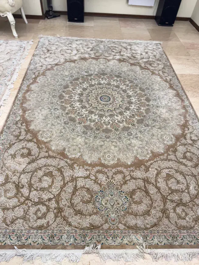 فرش طرح ابریشم|فرش|تهران, ستارخان|دیوار