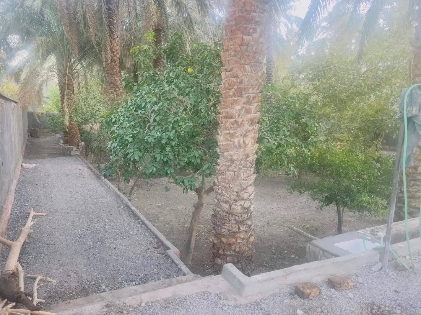 خانه باغ همکف|اجارهٔ خانه و ویلا|بم, |دیوار