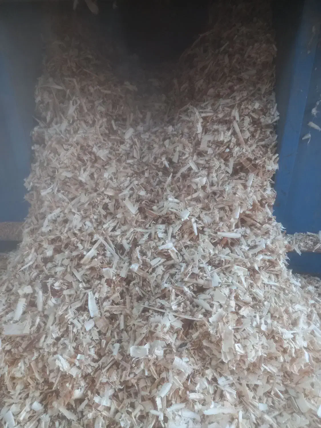 پوشال مرغداری|عمدهفروشی|قره ضیاالدین, |دیوار