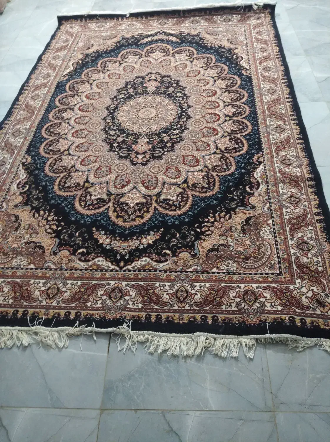 قالی ۶متری|فرش|سنندج, |دیوار