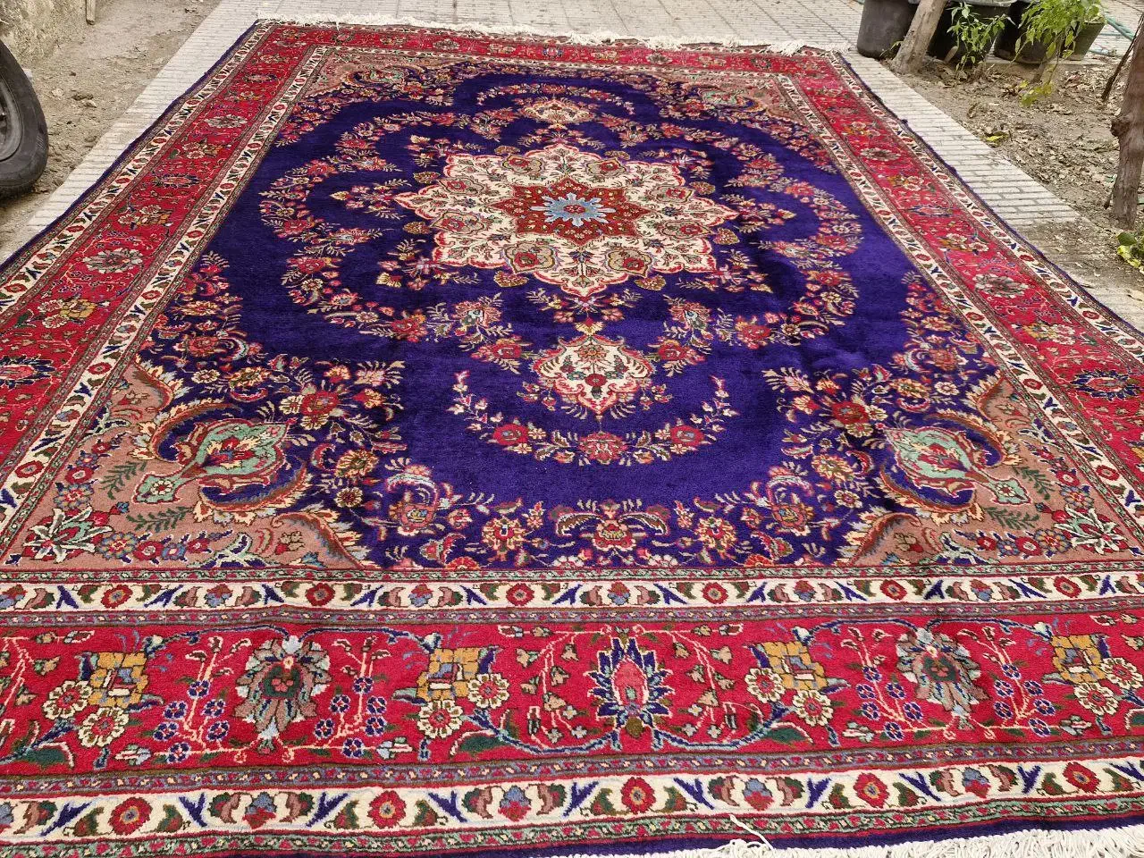 فرش دستباف قدیمی|فرش|اهر, |دیوار