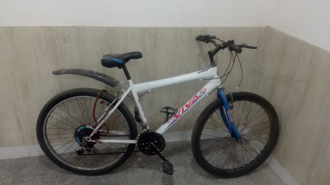 چرخ ۲۶ ویوا|دوچرخه، اسکیت، اسکوتر|تربت جام, امام|دیوار