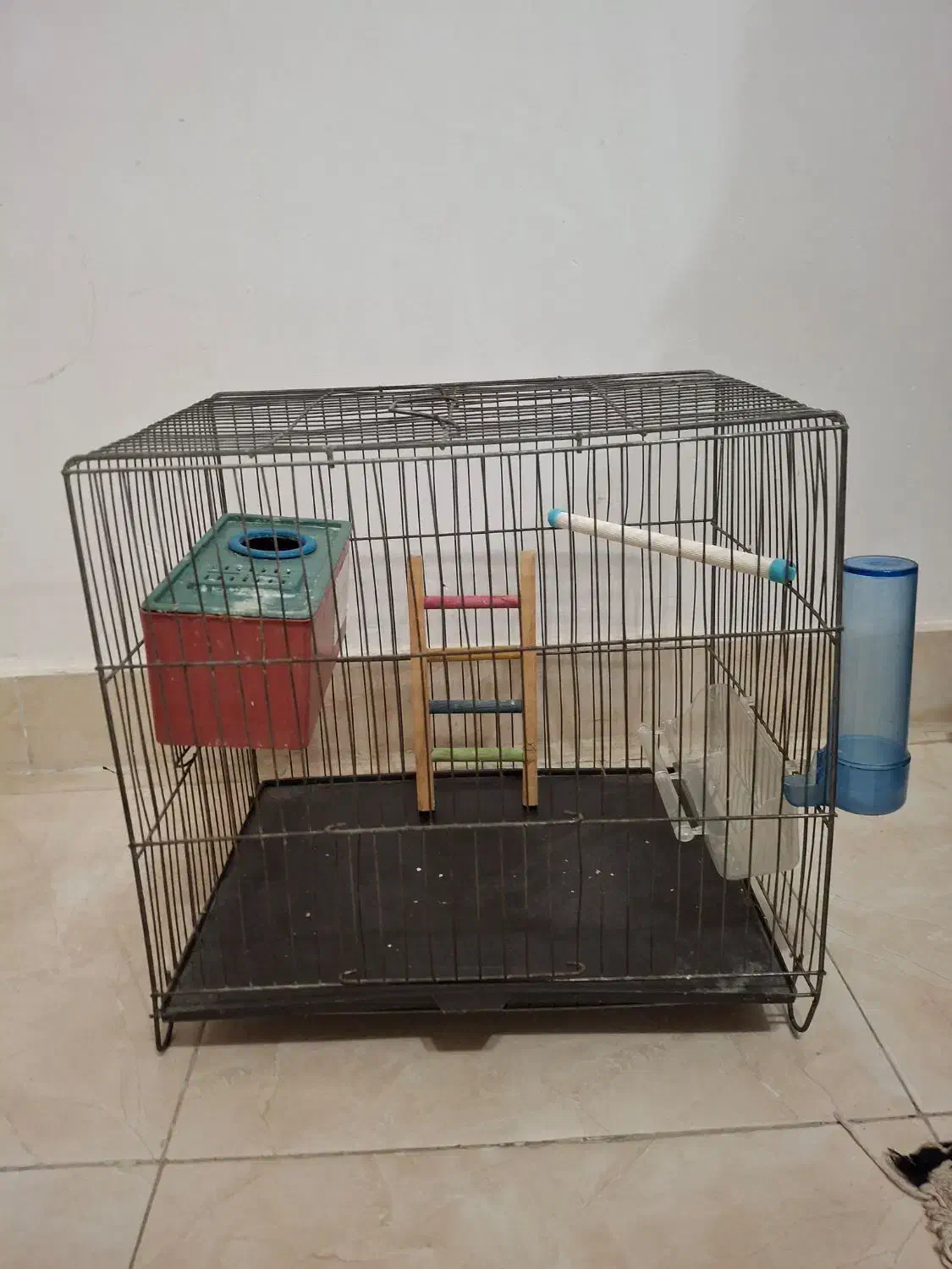 قفس پرنده|لوازم جانبی حیوانات|رشت, عینک|دیوار