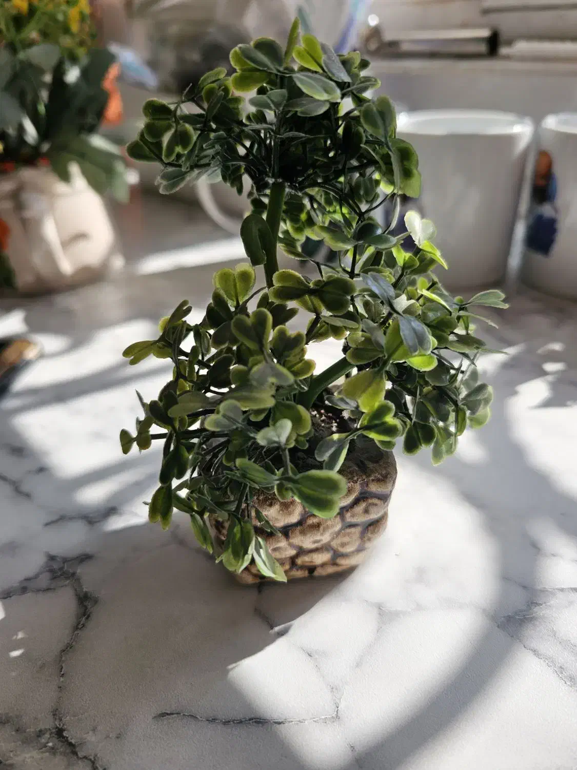 گلدان های کوچک و ماگ|گل مصنوعی|اراک, |دیوار