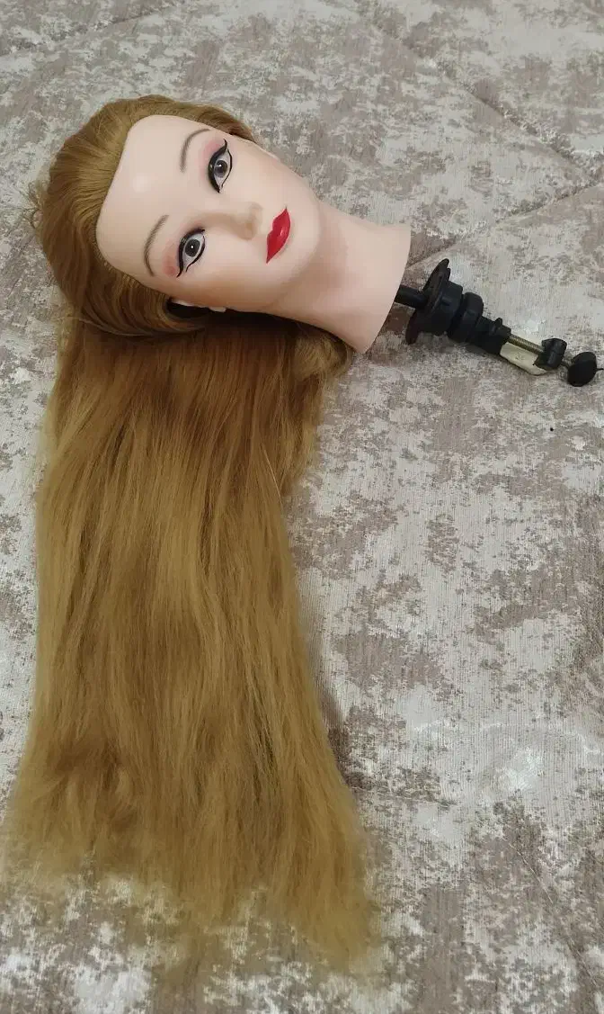 وسایل شینیون مو|آرایشگاه و سالن‌های زیبایی|جهرم, |دیوار