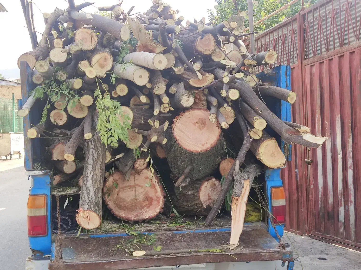 خرید چوب باغی و ساختمانی|خدمات باغبانی و درختکاری|گرگان, |دیوار