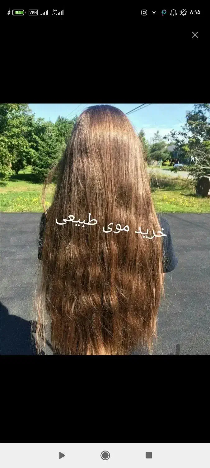 مو طبیعی|آرایشی، بهداشتی، درمانی|قم, زنبیل آباد|دیوار