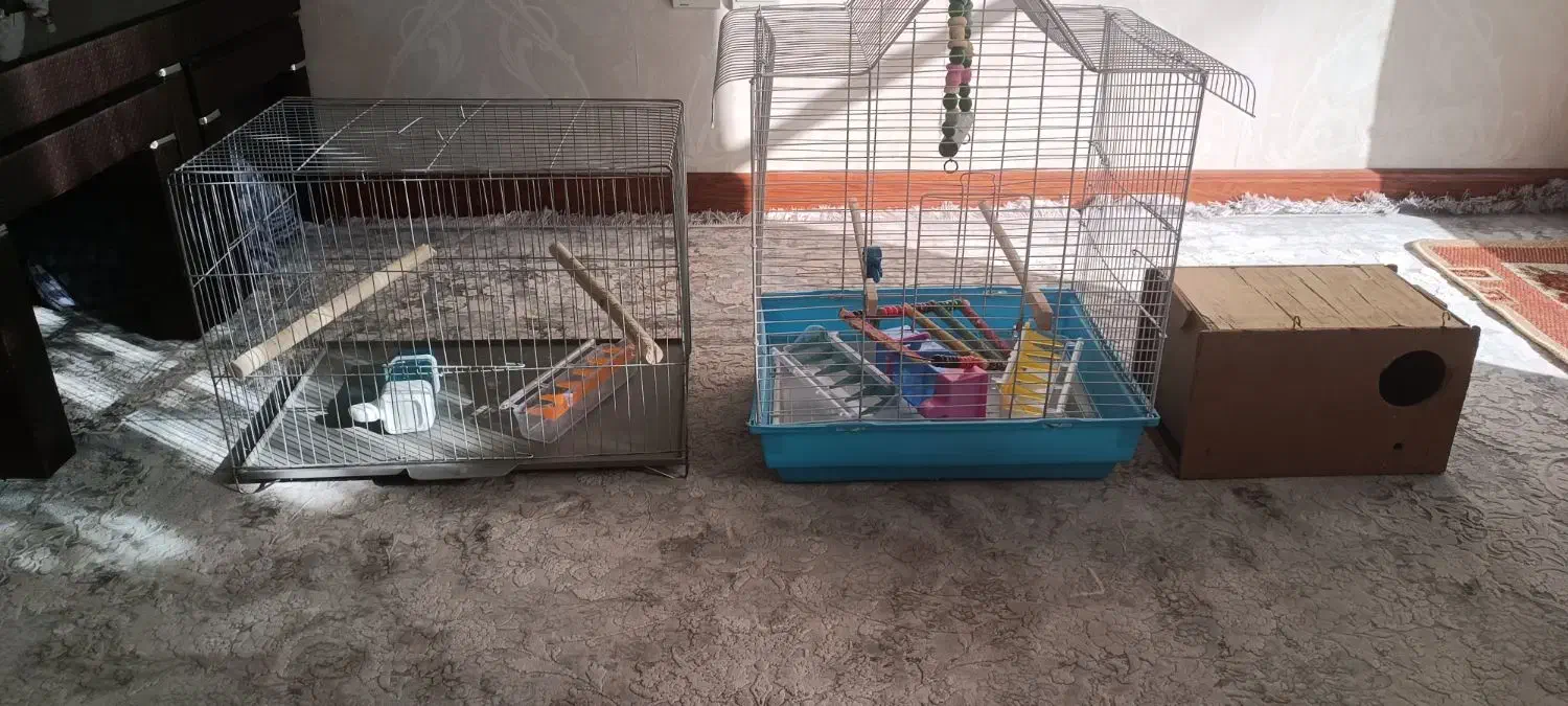 قفس پرنده|لوازم جانبی حیوانات|شاهین‌شهر, عطار|دیوار
