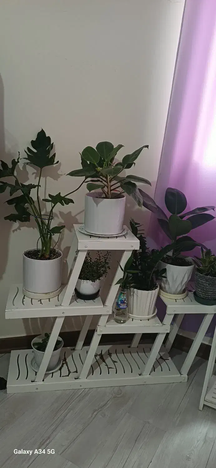 استند گلدان|گل و گیاه طبیعی|تهران, سازمان آب|دیوار