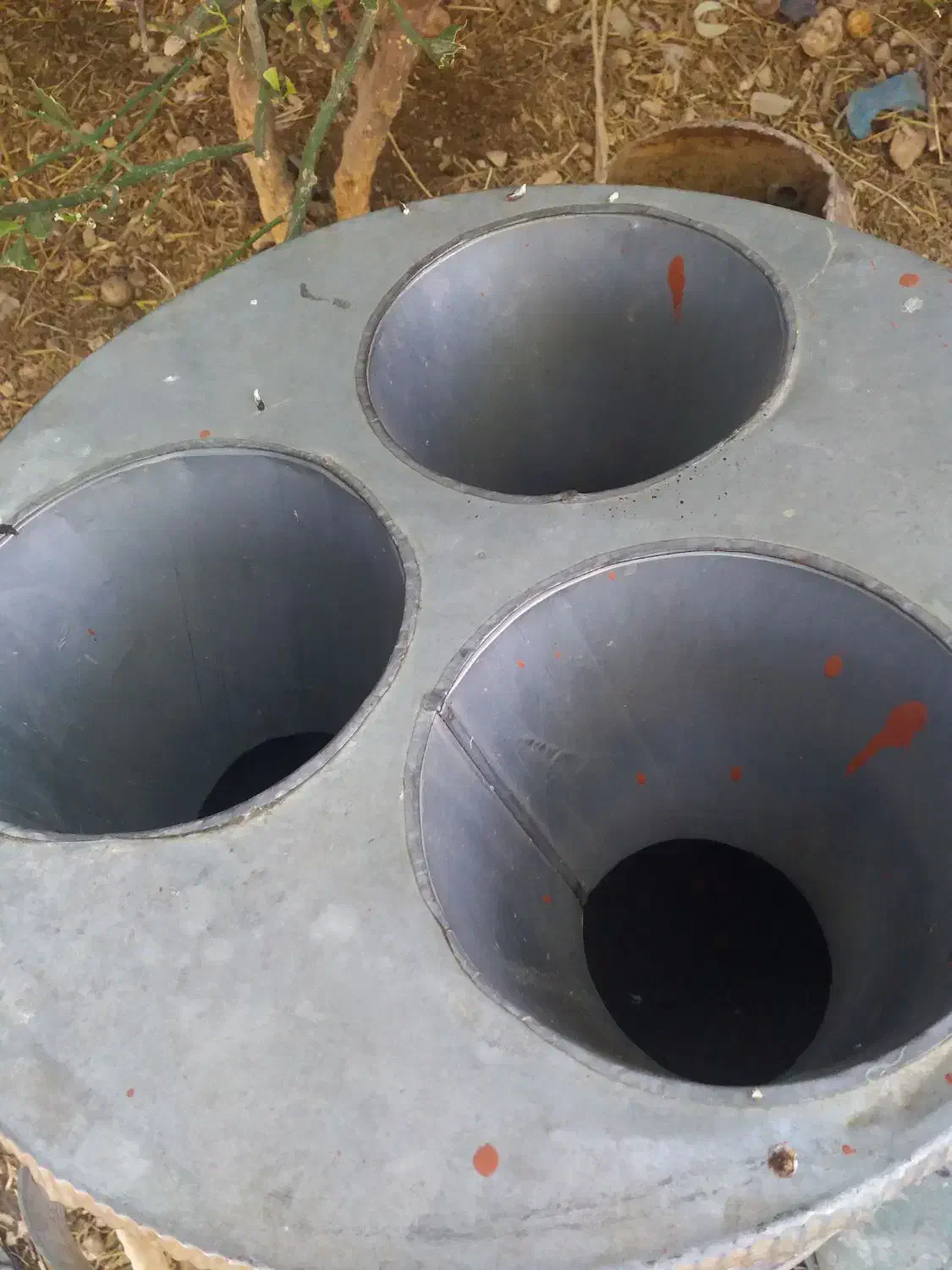 قیف جای خون|حیوانات مزرعه|دشت ذهاب, |دیوار