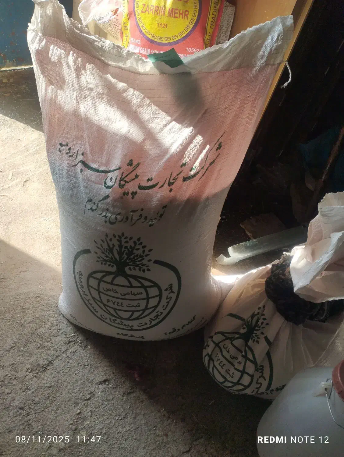 گندم|گل و گیاه طبیعی|نوشین شهر, |دیوار