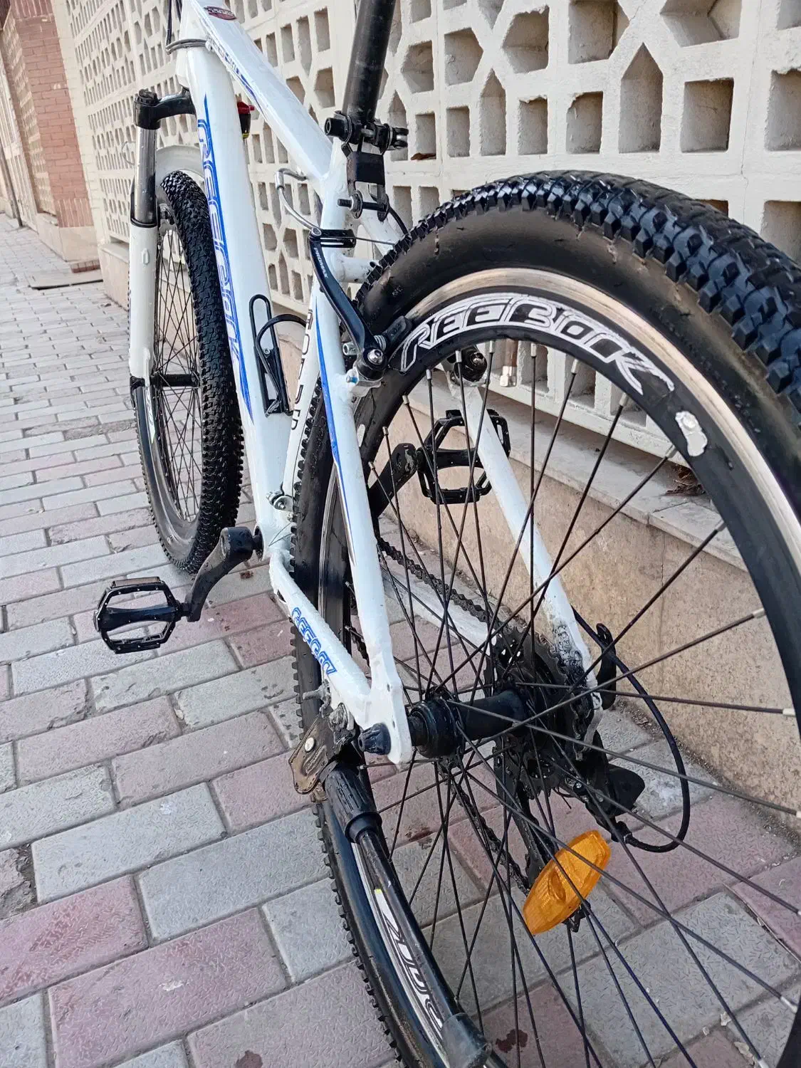 دوچرخه|دوچرخه، اسکیت، اسکوتر|مشهد, جاهد شهر|دیوار