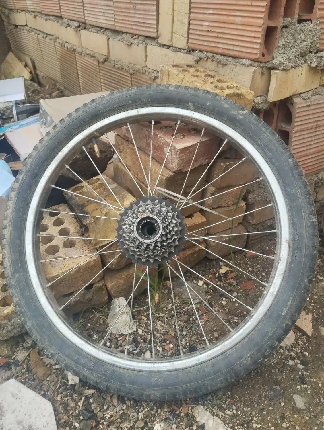 رینگ و لاستیک دوچرخه 20 عقب و جلو|دوچرخه، اسکیت، اسکوتر|آزادشهر, |دیوار