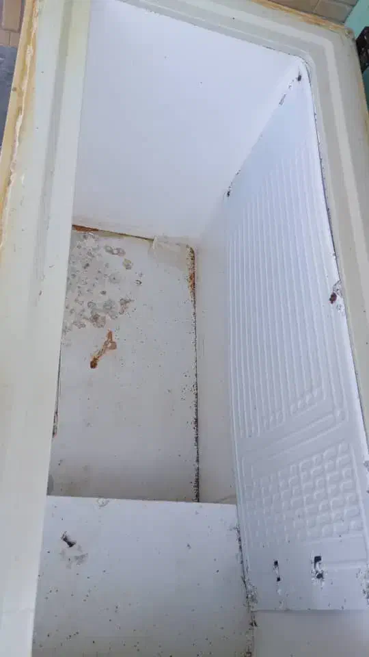 یخچال|یخچال و فریزر|بندر گناوه, |دیوار