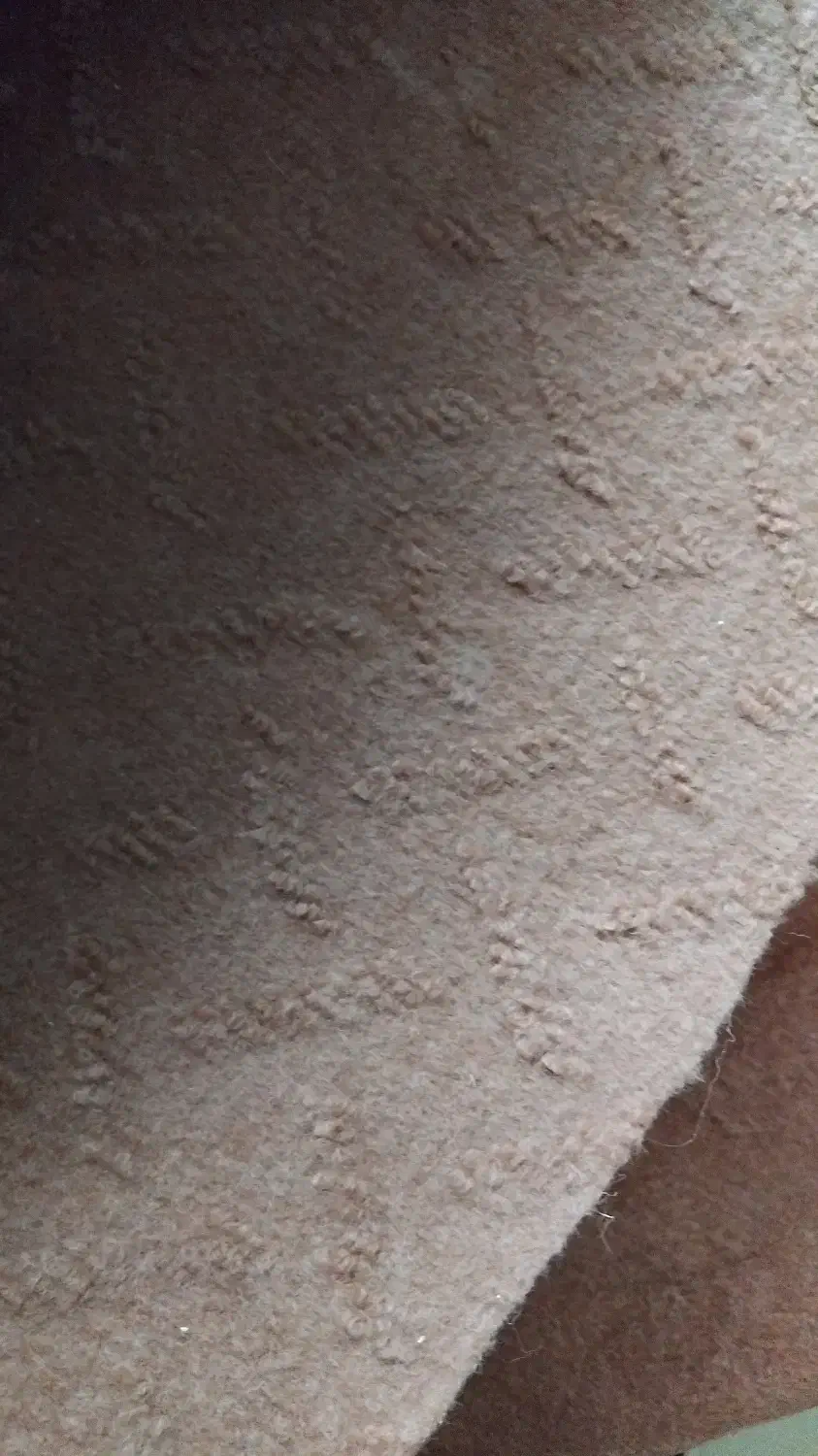 موکت 12 متری|موکت|اصفهان, خواجه عمید|دیوار