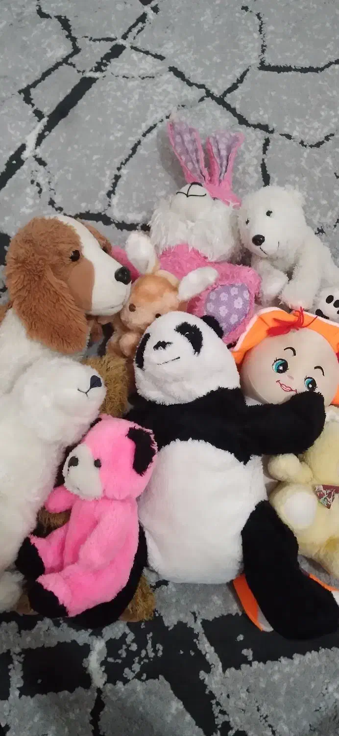 عروسک هاس خرسی|اسباب‌بازی بچه|قشم, |دیوار