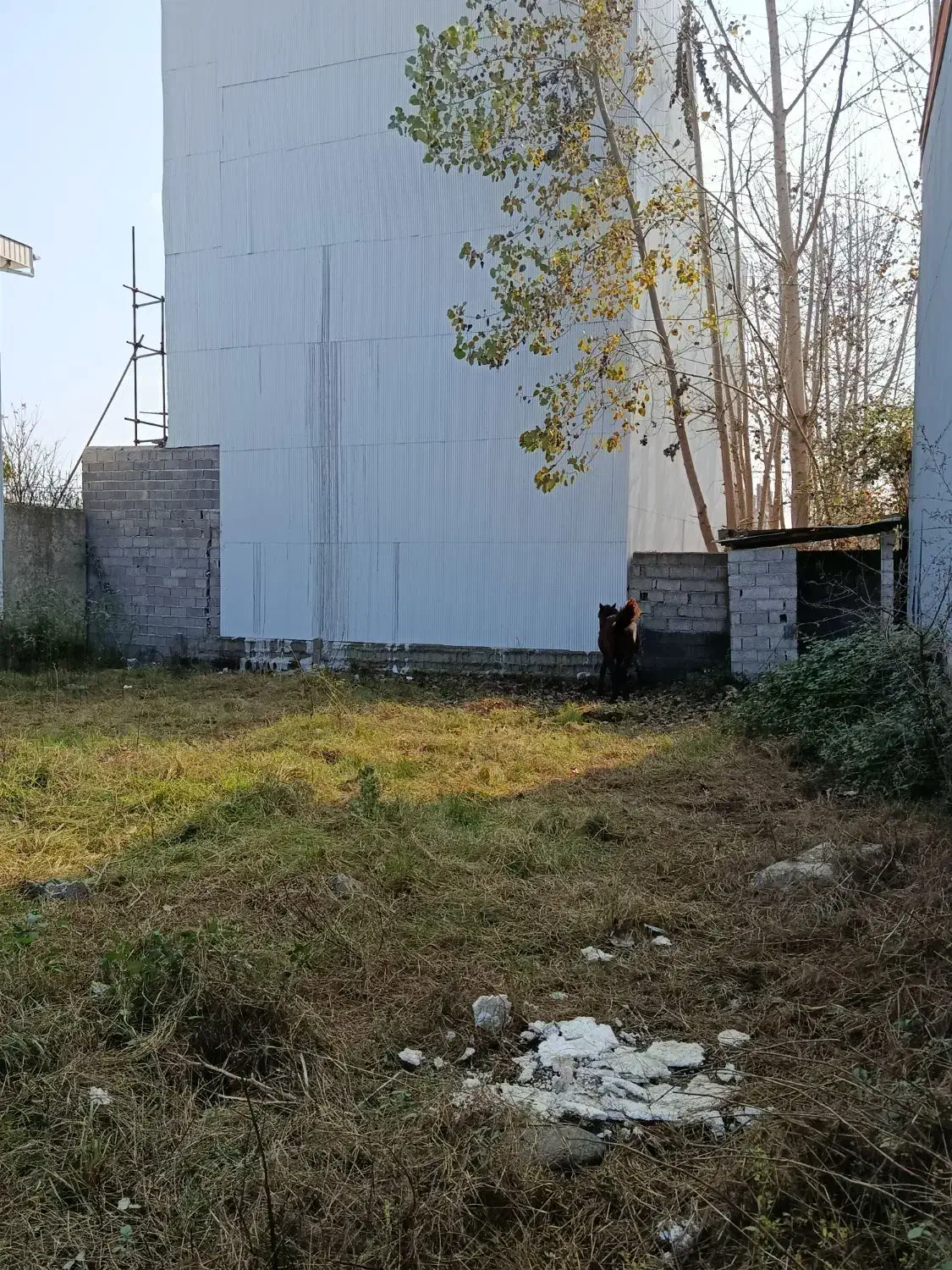 زمین با پروانه ساخت بنا۲۵۰متری|فروش زمین و ملک کلنگی|چاف و چمخاله, |دیوار