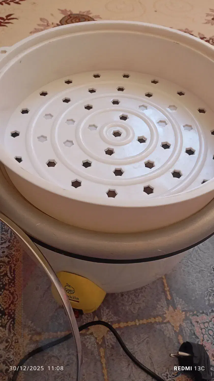 پلوپز کاملا سالم|اجاق گاز و لوازم برقی پخت‌وپز|پلدختر, |دیوار