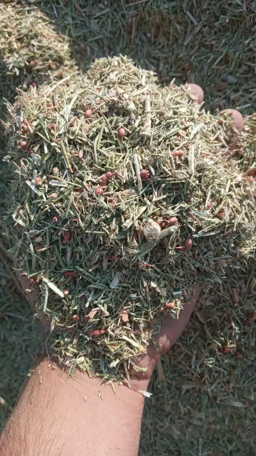 کاه خارشتر|لوازم جانبی حیوانات|رودهن, |دیوار