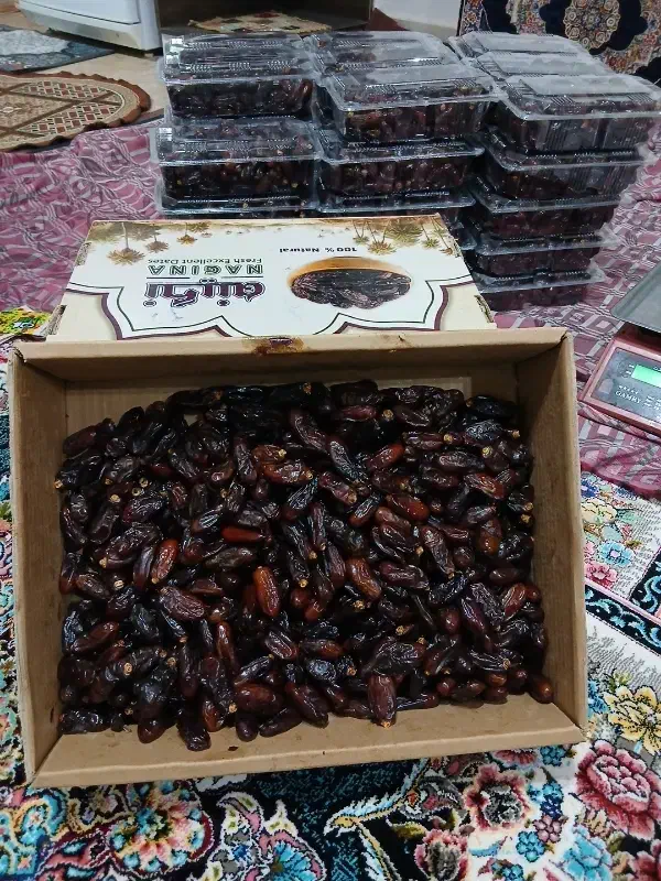 خرما|خوردنی و آشامیدنی|دیواندره, |دیوار