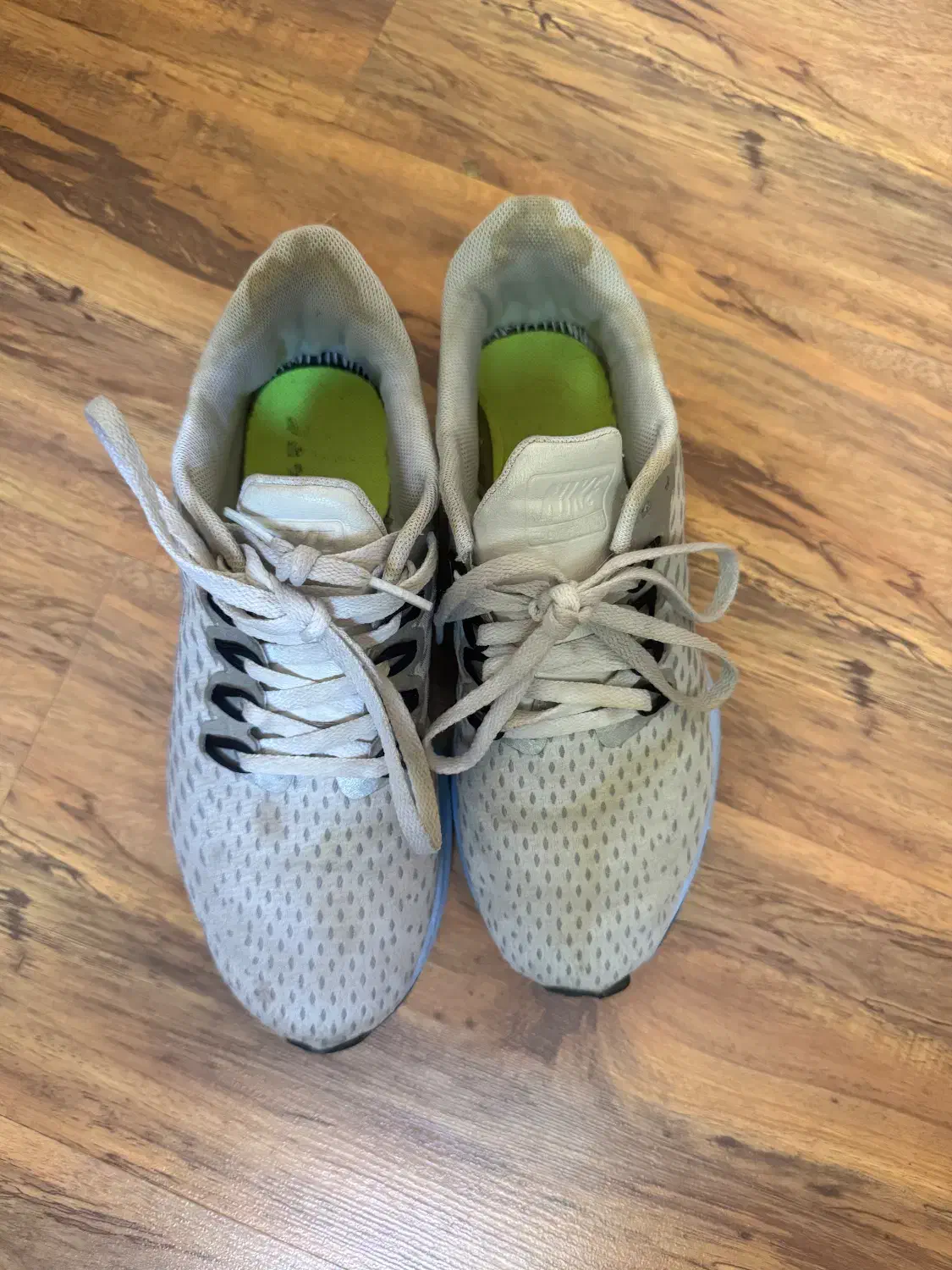 کفش اسنیکر رایگان|کیف، کفش، کمربند|شیراز, دینکان|دیوار