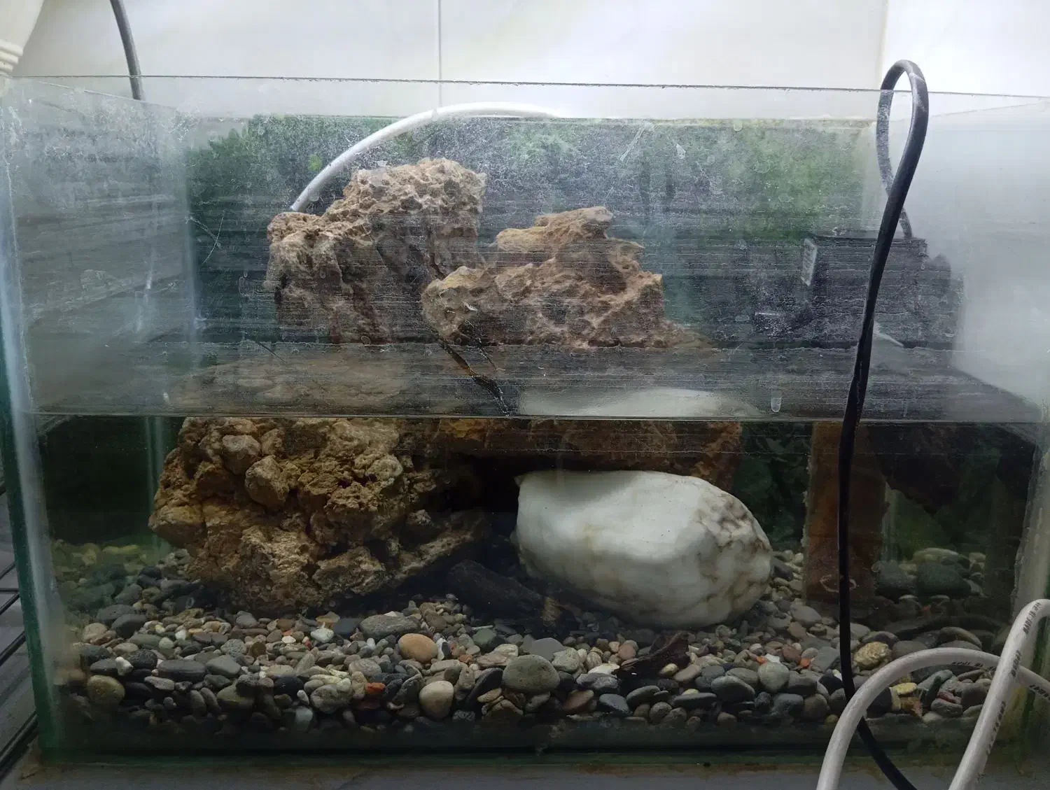 آکواریوم با وسایلش|ماهی|شیراز, شهرک مطهری|دیوار