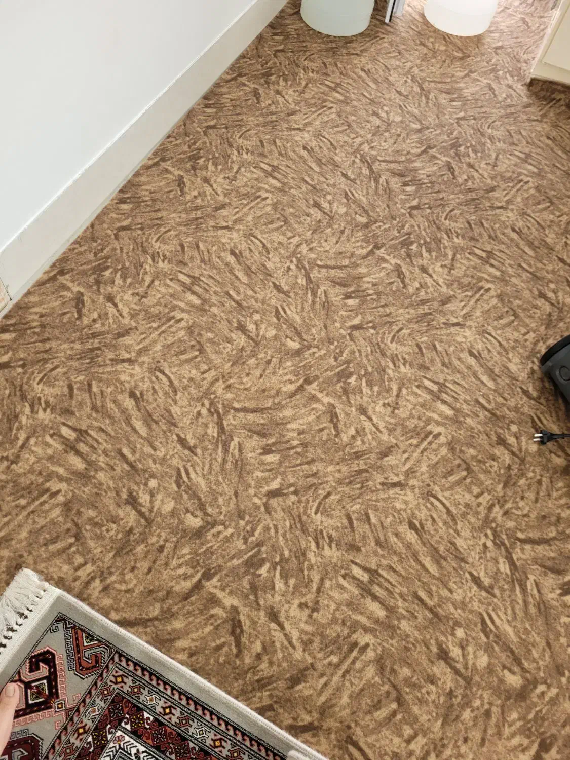 موکت فروش فوری|موکت|آق قلا, |دیوار