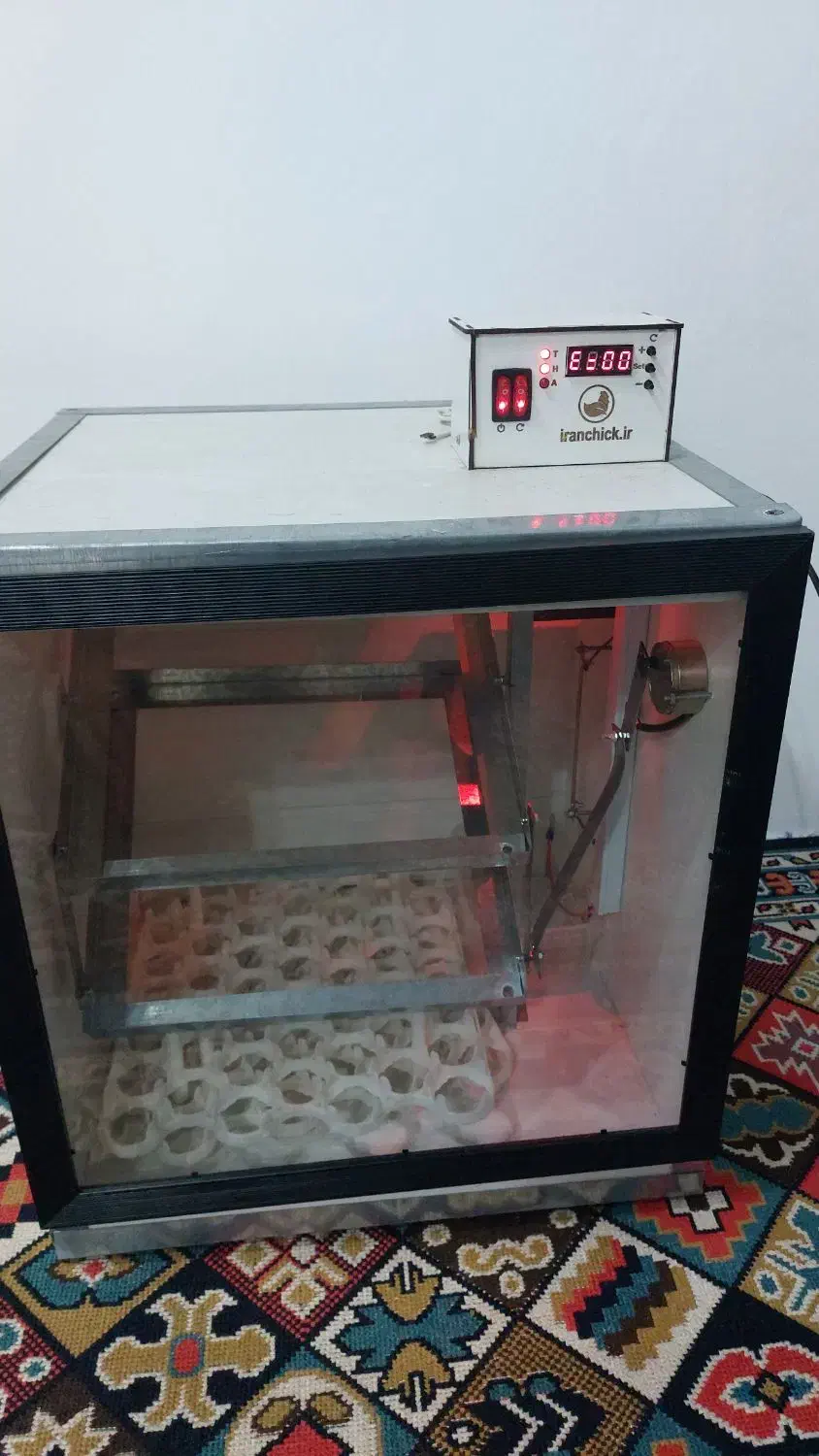 دستگاه جوجه کشی ۸۴ تایی|لوازم جانبی حیوانات|بندر انزلی, لیچارگی حسن رود|دیوار