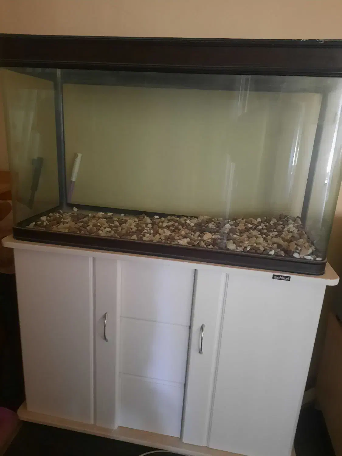 آکواریوم شیشه خم با میز ماهیران،فروش فوری|ماهی|سیرجان, |دیوار