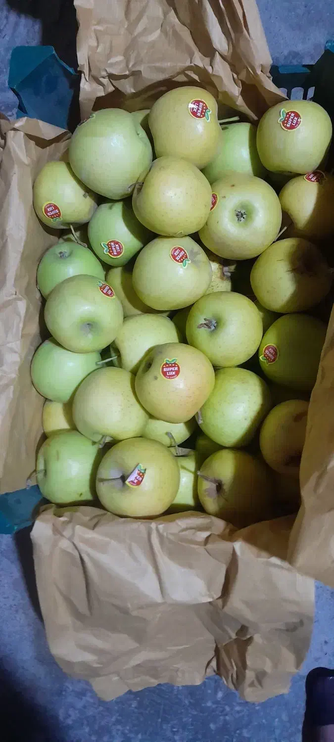 سیب|عمده‌فروشی|نقده, |دیوار