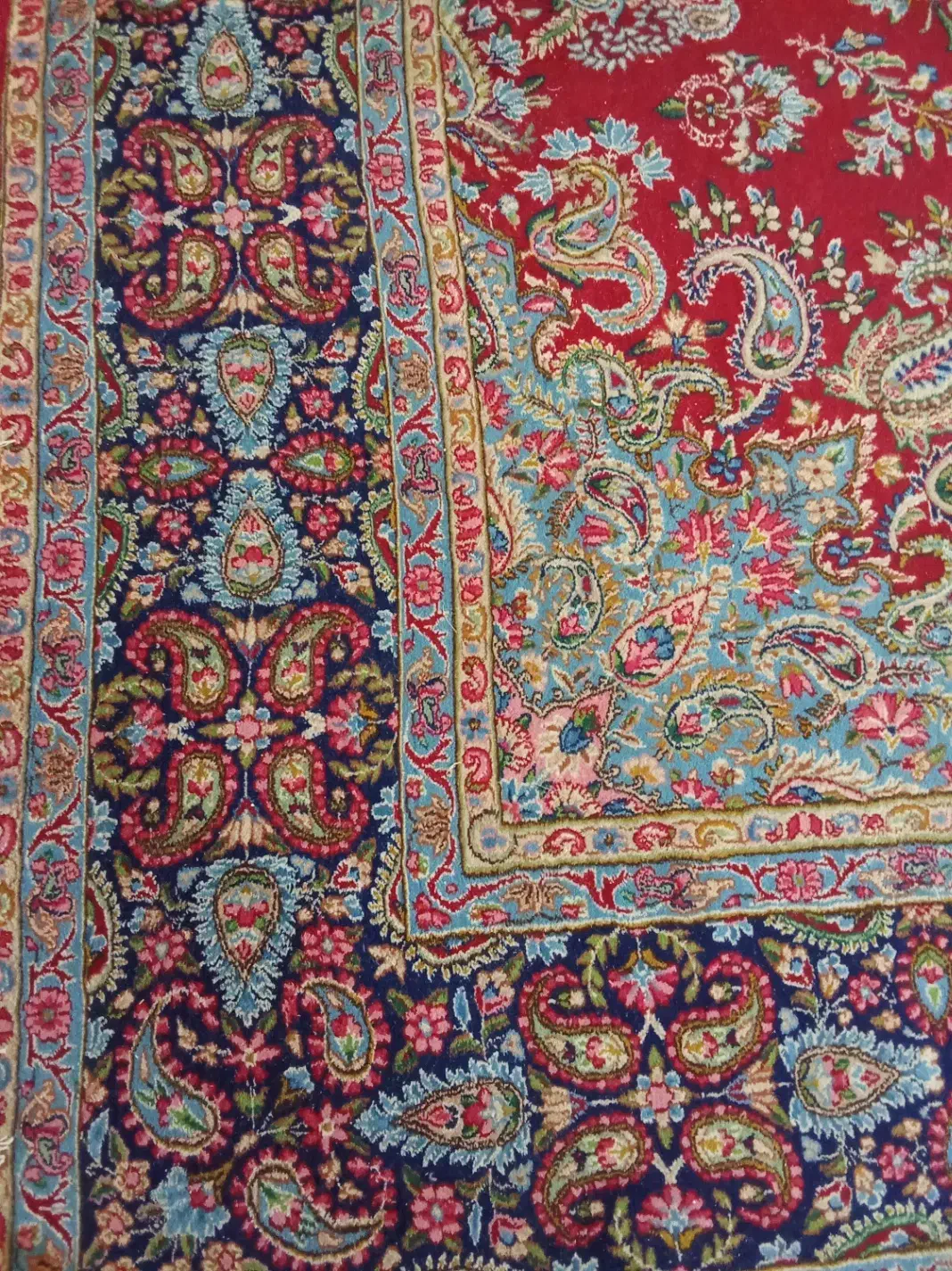 قالی کرمان|فرش|سیرجان, |دیوار