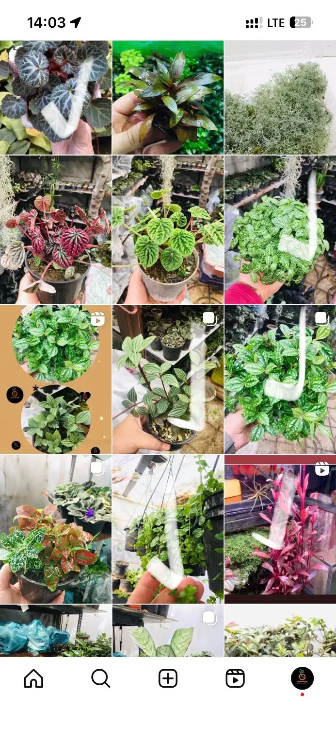 استخدام کارگر خانوم جهت تازیین گل و گیاه|استخدام خدمات فروشگاه و رستوران|محمدشهر, محمدشهر|دیوار