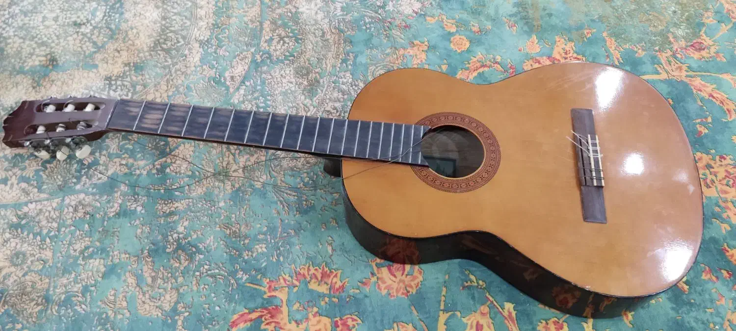 گیتار|گیتار، بیس، امپلیفایر|بوشهر, |دیوار