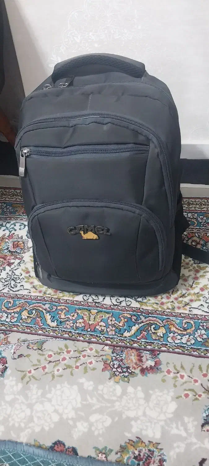 کوله پشتی|کیف، کفش، کمربند|ری, دولت‌آباد|دیوار
