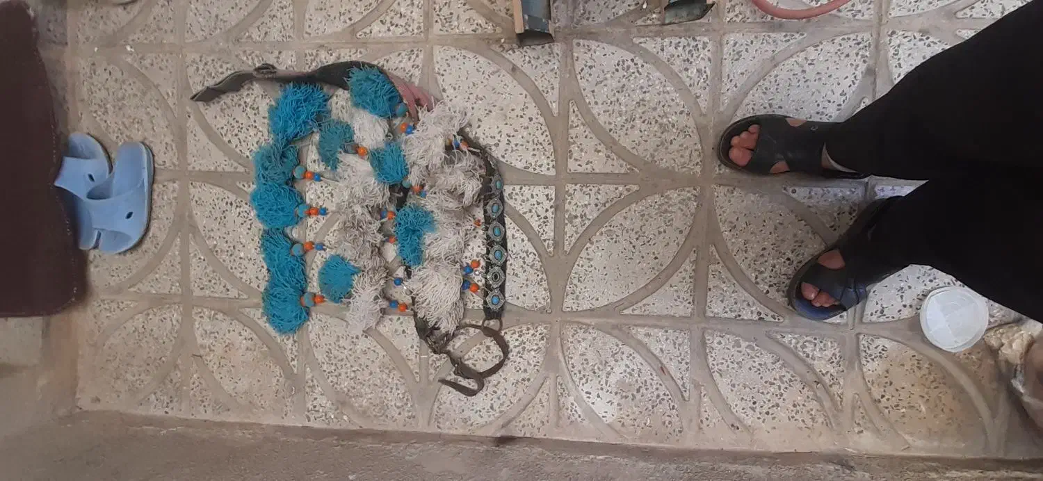 لباس اسب درحد نو|اسب و تجهیزات اسبسواری|سنندج, |دیوار