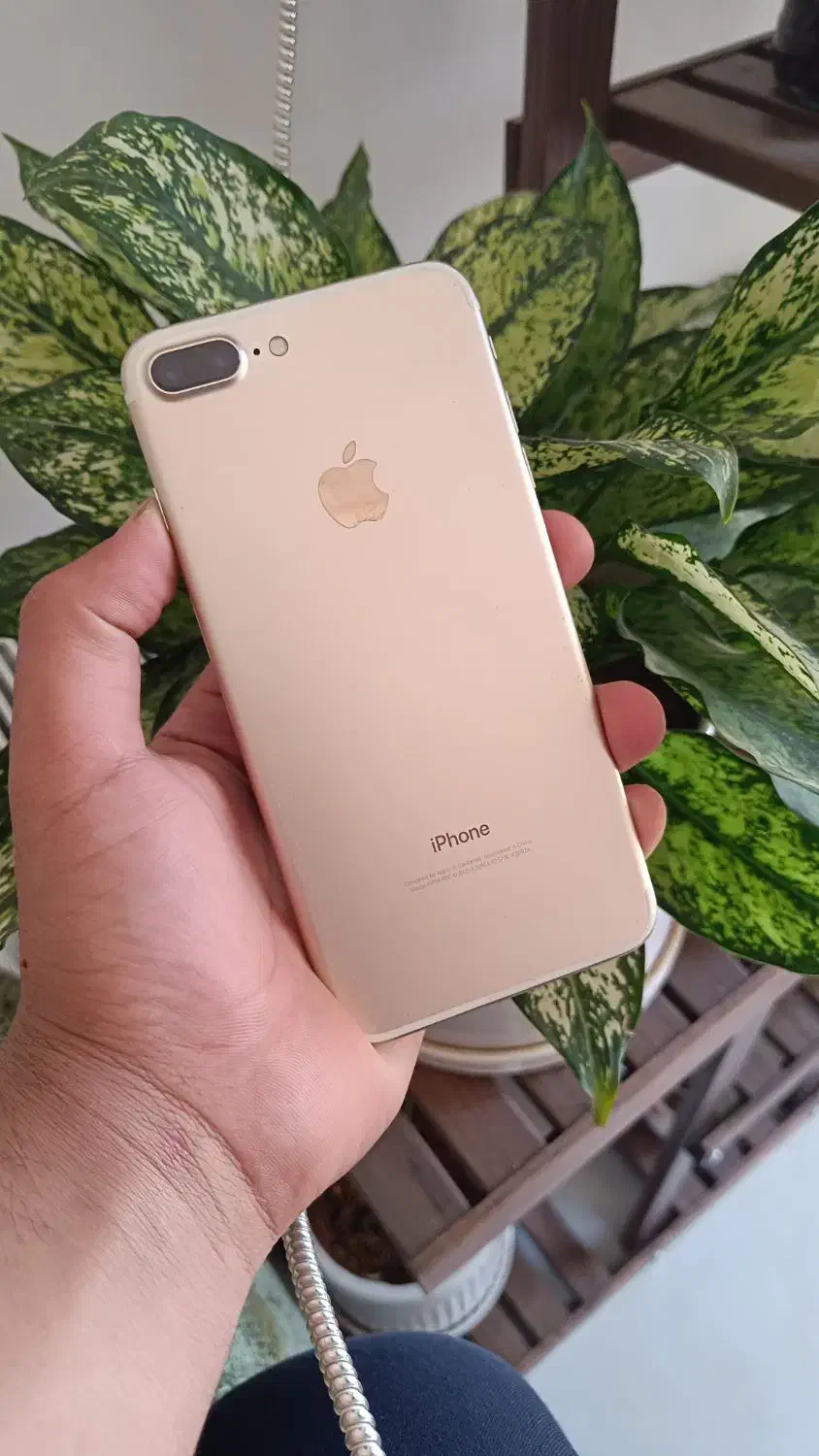 IPhone 7plus و A5 2017|موبایل|شاهرود, |دیوار