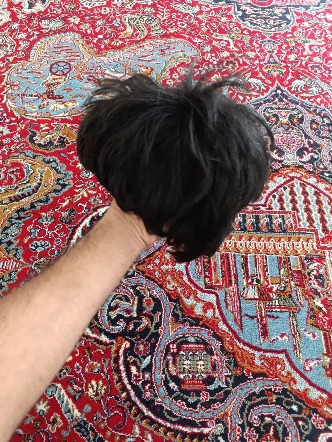 کلاه گیس مردانه|آرایشی، بهداشتی، درمانی|کازرون, |دیوار