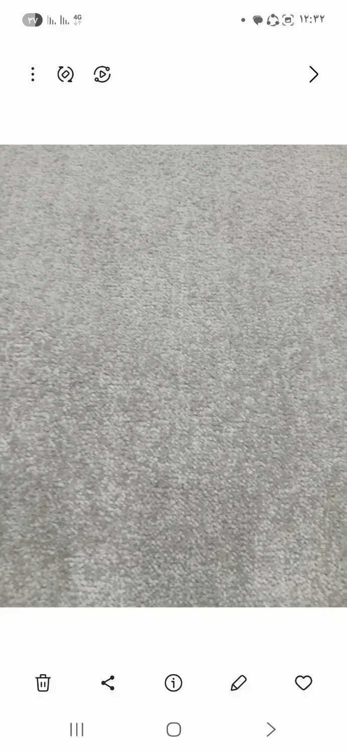 موکت پالاز|موکت|مرودشت, ژیان|دیوار