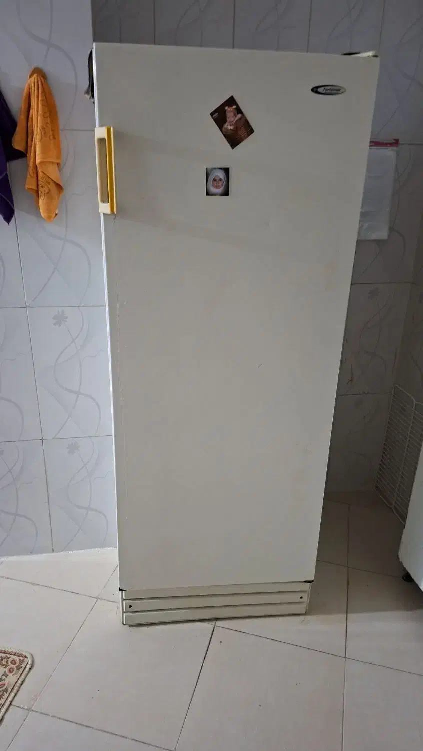 یخچال  کارکرده|یخچال و فریزر|قصابه, |دیوار