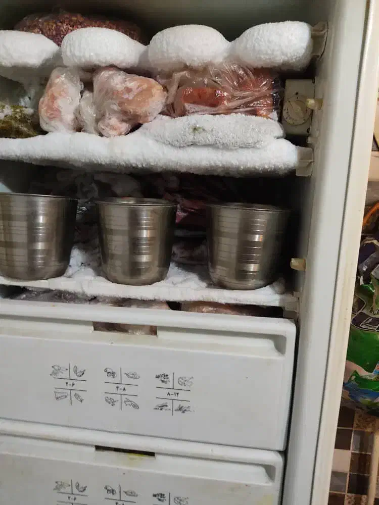 یخچال و فریزر کارکرده و بخاری|یخچال و فریزر|شوشتر, |دیوار