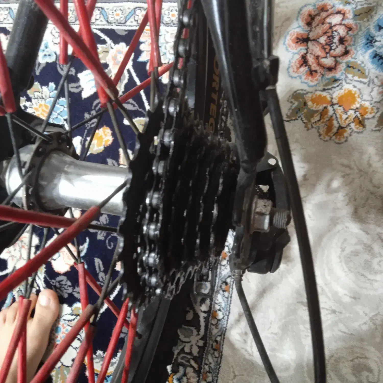 دوچرخه|دوچرخه، اسکیت، اسکوتر|نورآباد, |دیوار