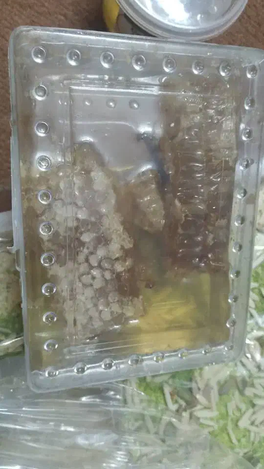 عسل موم دار طبیعی|خوردنی و آشامیدنی|اهواز, پردیس|دیوار